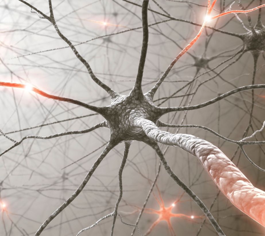 Ćwiczenia HeadApp na tablecie