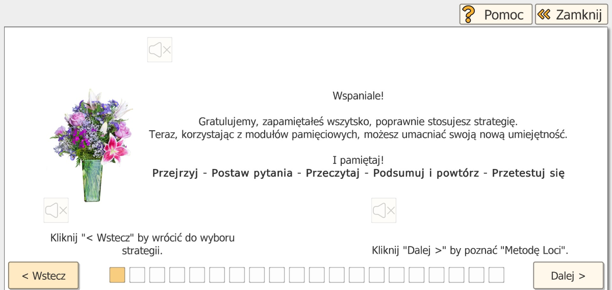 Strategie zapamiętywania — wybór strategii