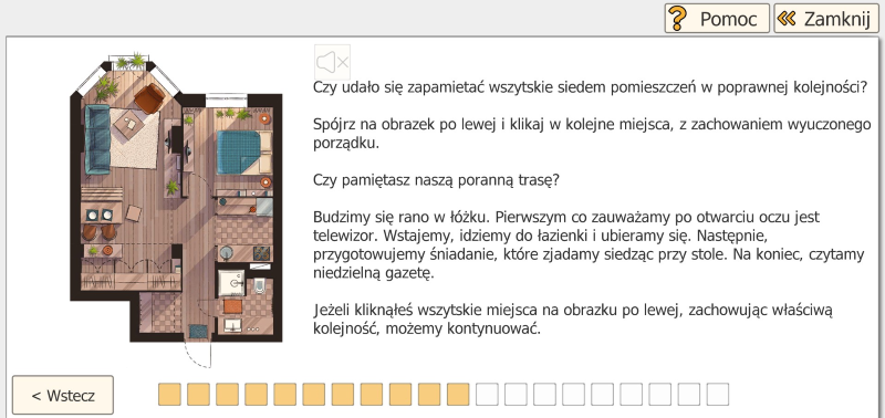Strategie zapamiętywania — wyniki